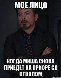 Мое лицо Когда Миша снова приедет на приоре со стволом