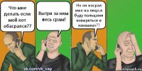 Что мне делать если мой кот обасрался?? Вытри за ним весь срам! Но он насрал мне на лицо,я буду пальцами ковыряться в какашках??