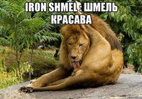 IRON SHMEL : шмель красава 