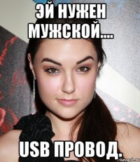 Эй нужен мужской.... UsB провод.