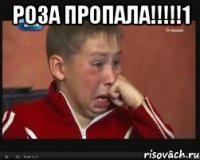 РОЗА ПРОПАЛА!!!!!1 