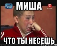 Миша Что ты несешь