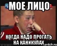 мое лицо когда надо прогать на каникулах