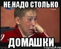 Не надо столько Домашки