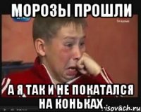 морозы прошли а я так и не покатался на коньках