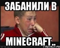 ЗАБАНИЛИ В Minecraft..