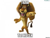 Тала ты котен