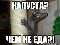 капуста? чем не еда?!