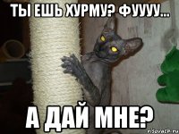 ты ешь хурму? фуууу... а дай мне?
