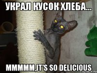 украл кусок хлеба... ммммм,it's so delicious