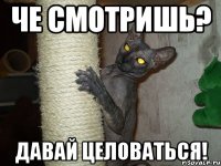 че смотришь? давай целоваться!