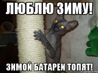 люблю зиму! зимой батареи топят!