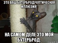 это ваш бутерброд?оптическая иллюзия! на самом деле это мой бутерброд.