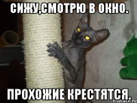 сижу,смотрю в окно. прохожие крестятся.