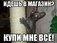 идешь в магазин? купи мне ВСЁ!