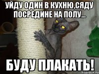 уйду один в кухню,сяду посредине на полу... буду плакать!
