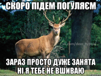 скоро підем погуляєм зараз просто дуже занята ні я тебе не вшиваю