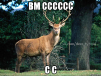 вм сссссс с с