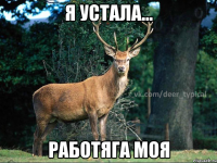 Я устала... Работяга моя