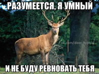 Разумеется, я умный и не буду ревновать тебя