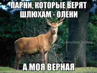 Парни, которые верят шлюхам - олени а моя верная