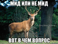 Мид или не Мид Вот в чем вопрос