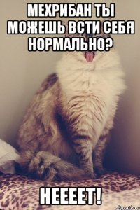 МЕХРИБАН ТЫ МОЖЕШЬ ВСТИ СЕБЯ НОРМАЛЬНО? НЕЕЕЕТ!