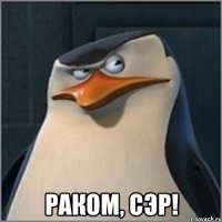  Раком, сэр!