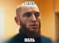 шучу жаль