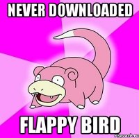 never downloaded flappy bird