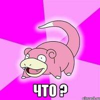  Что ?