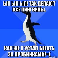 Ып ып ып! Так делают все пингвины. Как же я устал бегать за пробниками!=(