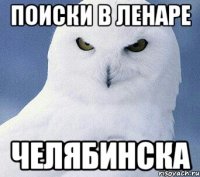 Картинки по запросу ой все сова | Owl, Animals beautiful, Owl pictures