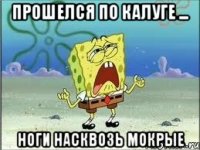 Прошелся по Калуге ... ноги насквозь мокрые