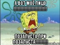 А вот моё лицо !!!!!!!!!!!!!!!!!!!!!!!! Позалуста при позалуста!!!!!!!!!