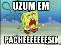 uzum em pacheeeeeees((