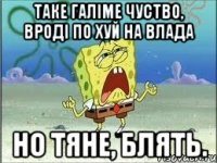 Таке галіме чуство, вроді по хуй на влада но тяне, блять.