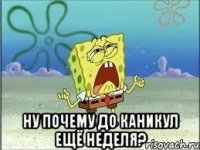  ну почему до каникул ещё неделя?