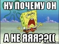 Ну почему он а не яяя??((