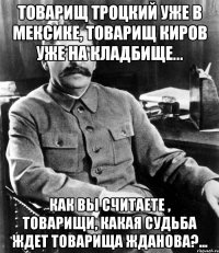 Товарищ Троцкий уже в Мексике, товарищ Киров уже на кладбище... Как вы считаете , товарищи, какая судьба ждет товарища Жданова?...