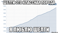 шелти это классная порода я люблю шелти