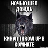 ночью шел дождь кинул throw up в комнате