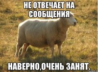 Не отвечает на сообщения Наверно,очень занят.