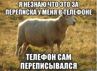 Я незнаю,что это за переписка у меня в телефоне Телефон сам переписывался