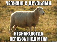 Уезжаю с друзьями Незнаю,когда вернусь,жди меня