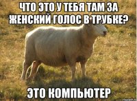 что это у тебя там за женский голос в трубке? это компьютер