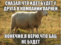 Сказал,что идет будет у друга в компании парней Конечно,я верю,что баб не будет