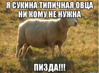 Я сукина типичная овца ни кому не нужна Пизда!!!