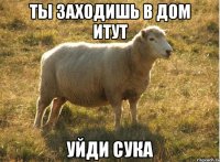 Ты заходишь в дом итут Уйди сука