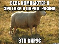 Весь компьютер в эротики и порнографии Это вирус